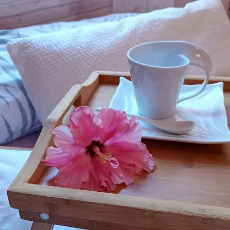 Apartment Beach, Apartamento Para 2 En Alvarito Playa *